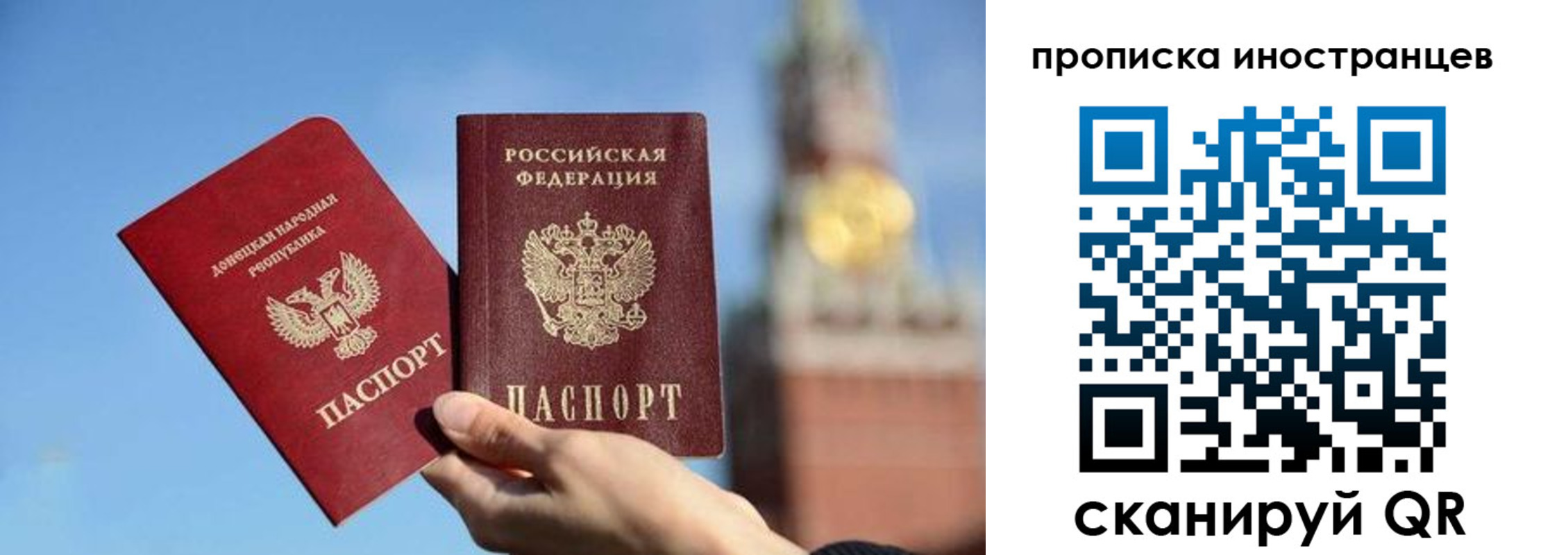 прописка штамп в Пионерском